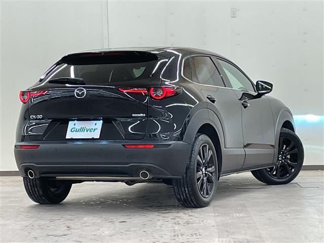 CX-302.0 20S ブラックトーンエディション