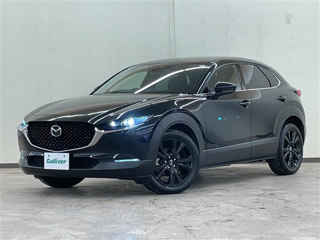 CX-302.0 20S ブラックトーンエディション