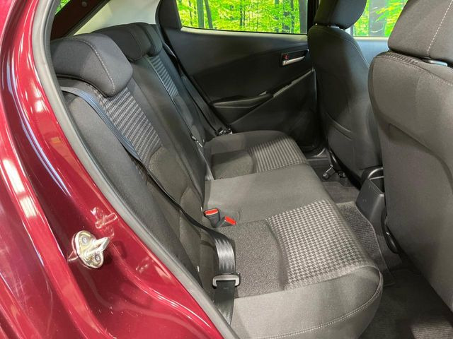 �㕔���Ȃ��C�ɂȂ�悤�ȃL�Y�E�����ւ��蓙�A�傫�ȃ_���[�W�͂Ȃ��A�ǍD�ȏ�Ԃł��B