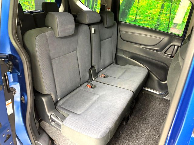 �㕔���Ȃ��C�ɂȂ�悤�ȃL�Y�E�����ւ��蓙�A�傫�ȃ_���[�W�͂Ȃ��A�ǍD�ȏ�Ԃł��B