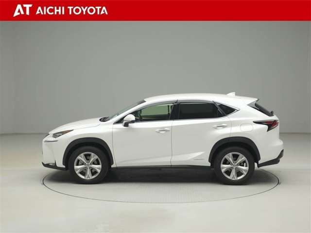 NX300h バージョンL 4WD