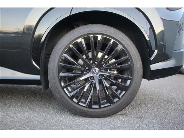 ���Ǝҗl�ւ̔̔��͂��f�肳���Ă��������܂��B �Ԍ������ԗ��̏ꍇ�́A�Ԍ����擾�������x�������z�ŕ\�����Ă���܂��B