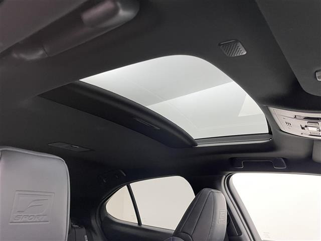 UX250h Fスポーツ