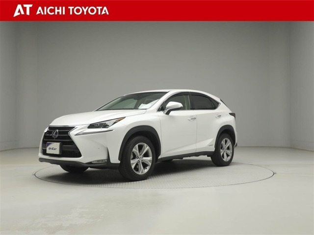 NX300h バージョンL 4WD