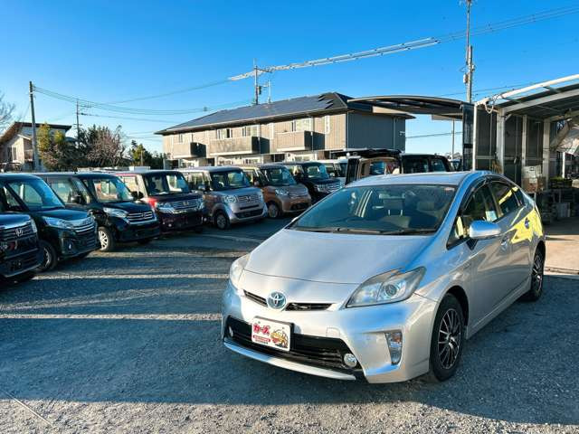 �y39.8���X�J�[�Y�̎��q���������������A���ɂ��肪�Ƃ��������܂��B���������S�s���c1186-7TEL:0942-73-6060�܂ł��⍇����������