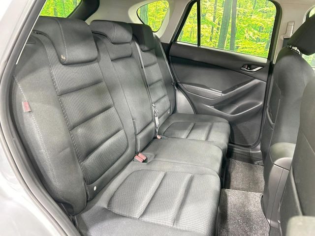 �㕔���Ȃ��C�ɂȂ�悤�ȃL�Y�E�����ւ��蓙�A�傫�ȃ_���[�W�͂Ȃ��A�ǍD�ȏ�Ԃł��B