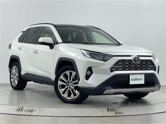 RAV42.0 G Zパッケージ 4WD