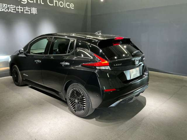 リーフe+ G