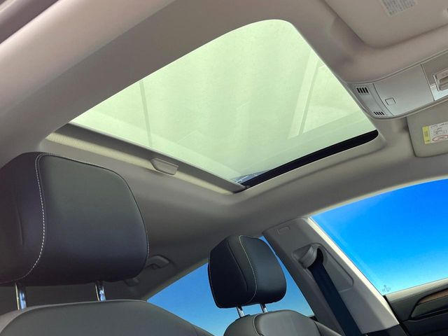 ���p�m���}�~�b�N�K���X���[�t:�唗�͂̃p�m���}���[�t�́A�㕔���Ȃɂ܂ő����Ă���A�J���I�ȋ�Ԃ����y���݂��������܂��B