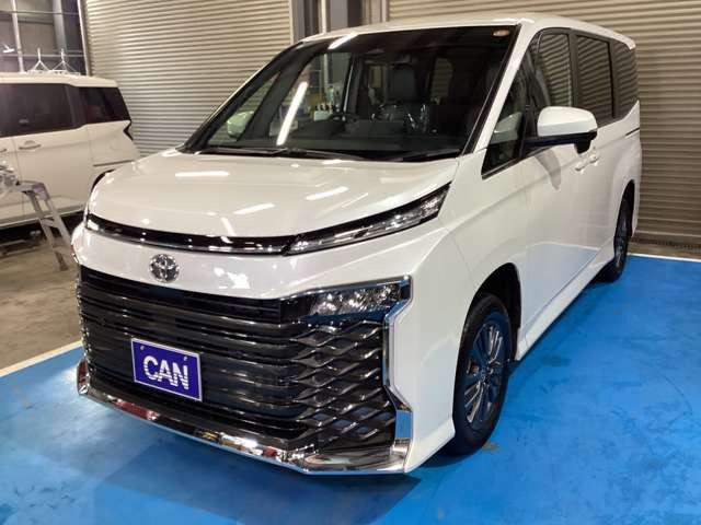 �Ԍ������͂������A��ʐ����E��t�����s���Ă���܂��̂ł��C�y�ɂ����k��������!