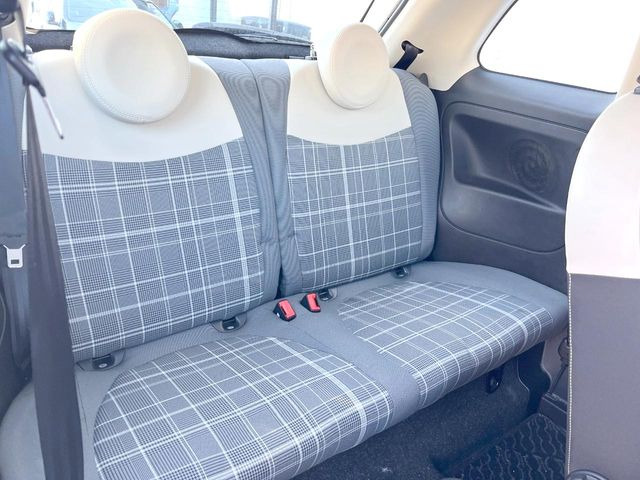 ���㕔���Ȃ��C�ɂȂ�悤�ȃL�Y�E�����ւ��蓙�A�傫�ȃ_���[�W�͂Ȃ��A�ǍD�ȏ�Ԃł��B