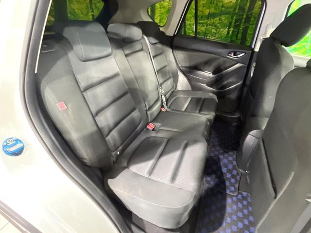 �㕔���Ȃ��C�ɂȂ�悤�ȃL�Y�E�����ւ��蓙�A�傫�ȃ_���[�W�͂Ȃ��A�ǍD�ȏ�Ԃł��B