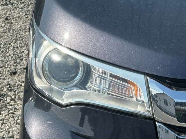 ���Ђ̂��Ԃ͑S�ԁy�C�����Ȃ��z�̂��Ԃ݂̂���舵�����Ă���܂��̂ŁA���S���ď��������Ԃɂ��C������������(���ꕔ�ԗ�������)