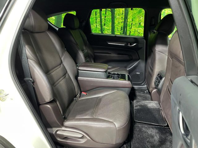 �㕔���Ȃ��C�ɂȂ�悤�ȃL�Y�E�����ւ��蓙�A�傫�ȃ_���[�W�͂Ȃ��A�ǍD�ȏ�Ԃł��B