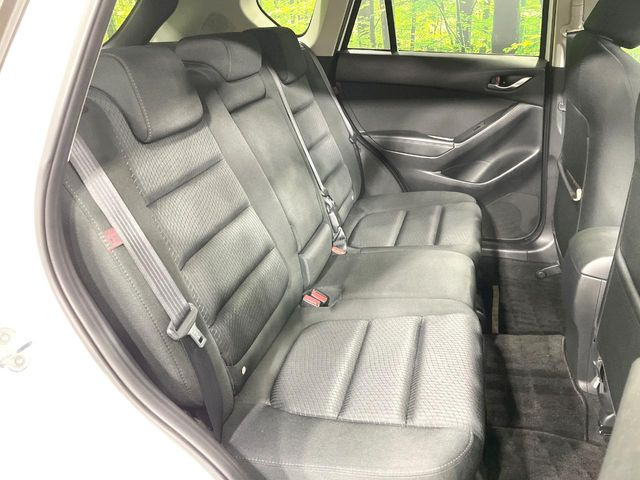 �㕔���Ȃ��C�ɂȂ�悤�ȃL�Y�E�����ւ��蓙�A�傫�ȃ_���[�W�͂Ȃ��A�ǍD�ȏ�Ԃł��B