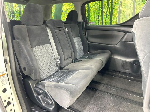 �㕔���Ȃ��C�ɂȂ�悤�ȃL�Y�E�����ւ��蓙�A�傫�ȃ_���[�W�͂Ȃ��A�ǍD�ȏ�Ԃł��B