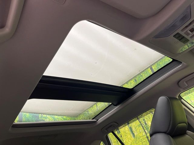 �y�T�����[�t�z�J���������Ղ�̊󏭑����A�T�����[�t����������Ă��܂�!�ԓ��ɖ�����������ꂽ��i�F���y���ވȊO�ɂ��A�ԓ��̋�C���ȒP�Ɋ��C�ł��ĉ��K�ł�!