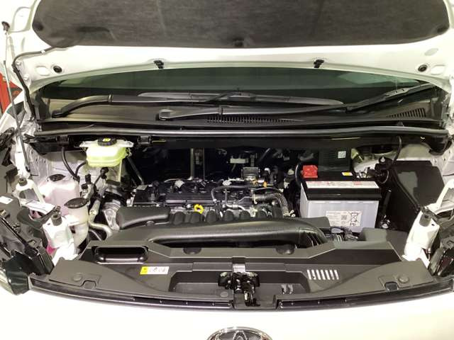 �����̂��q�l���劽�}�ł�^^�S���[�Ԃł��܂��̂ł܂��͂��C�y�ɂ����k��������!