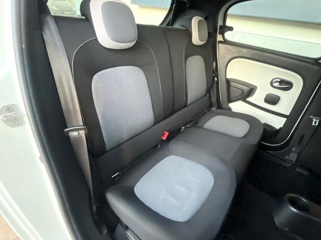 ���㕔���Ȃ��C�ɂȂ�悤�ȃL�Y�E�����ւ��蓙�A�傫�ȃ_���[�W�͂Ȃ��A�ǍD�ȏ�Ԃł��B