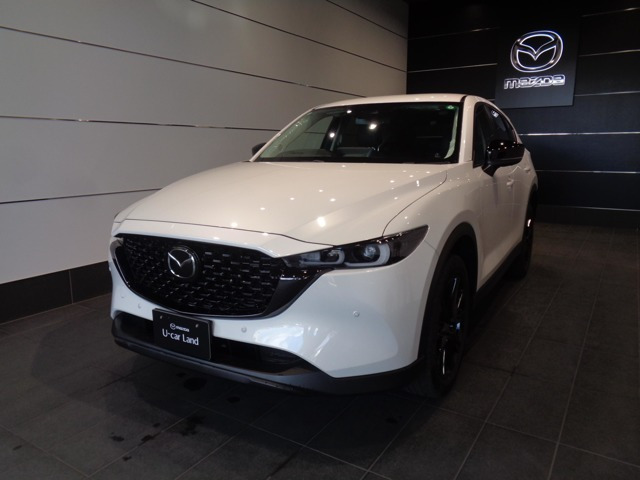 CX-52.0 20S ブラックトーンエディション