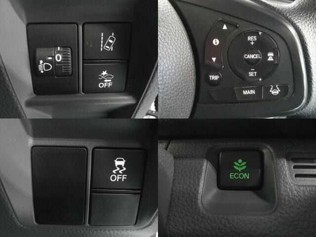 �b��̃z���_�Z���V���O���ځB���S�^�]�̋��������ł���