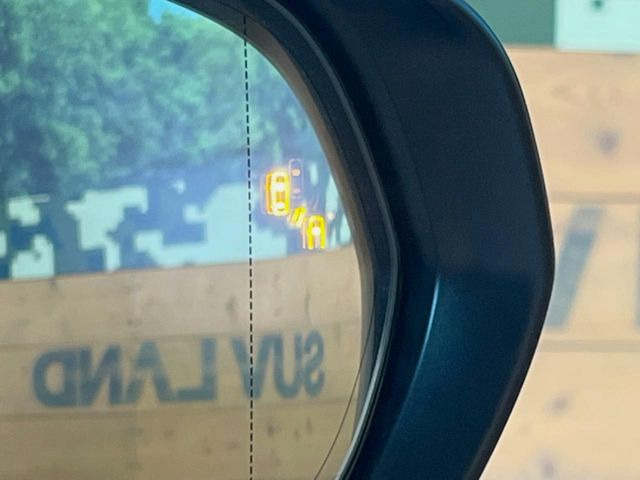 �y�u���C���h�X�|�b�g���j�^�[�z���s���A�h�A�~���[�̎��p�ɂȂ�₷���ӏ��Ɍ㑱�Ԃ��ڋ߂���ƃT�C�h�~���[�̃����Y�Ɍx����\��!�h���C�o�[�ɒ��ӊ��N�����Ă���܂��B