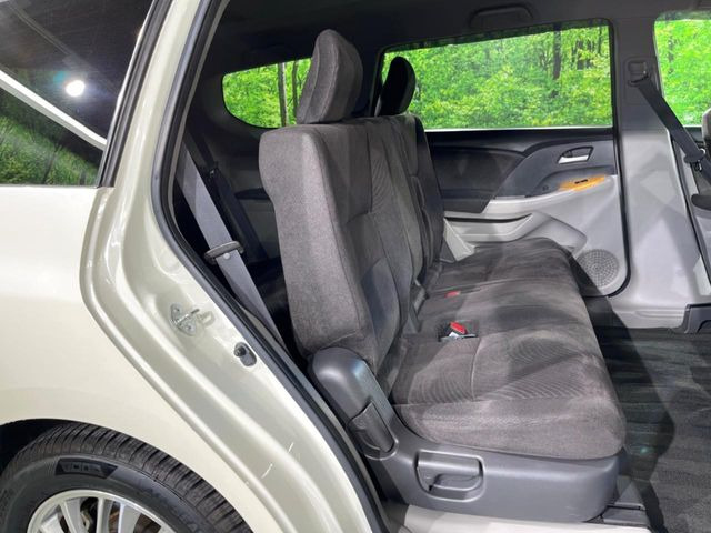 �㕔���Ȃ��C�ɂȂ�悤�ȃL�Y�E�����ւ��蓙�A�傫�ȃ_���[�W�͂Ȃ��A�ǍD�ȏ�Ԃł��B