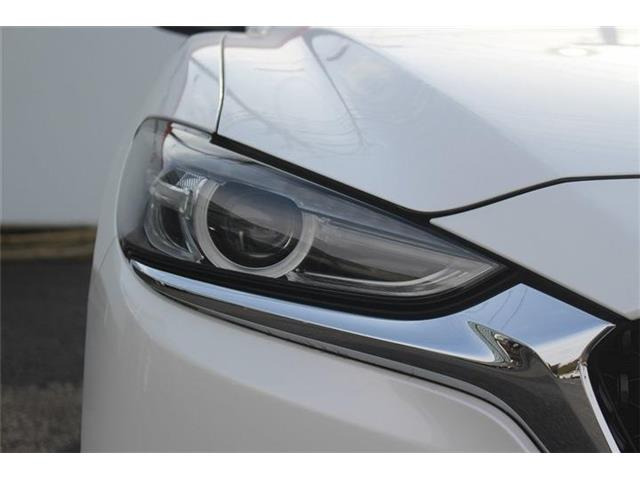 �����X�o���Ȃ����q�l�A���Ǝҗl�ւ̔̔��͂��f�肳���Ă��������܂��B�Ԍ������ԗ��̏ꍇ�́A�Ԍ����擾�������x�������z�ŕ\�����Ă���܂��B