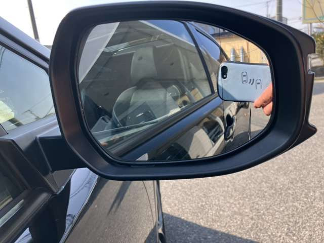 �u���C���h�X�|�b�g���j�^�[!