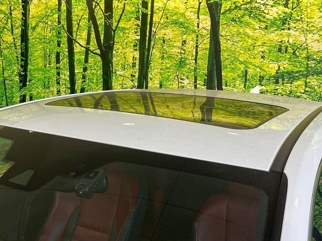 �y�T�����[�t�z�J���������Ղ�̊󏭑����A�T�����[�t����������Ă��܂�!�ԓ��ɖ�����������ꂽ��i�F���y���ވȊO�ɂ��A�ԓ��̋�C���ȒP�Ɋ��C�ł��ĉ��K�ł�!