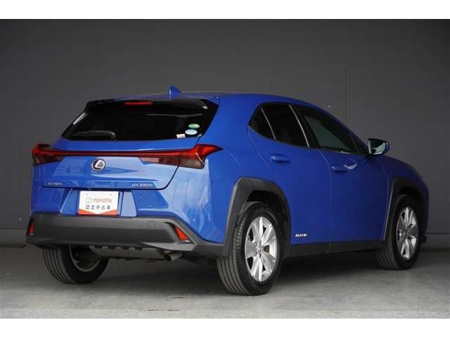 UX250h バージョンC