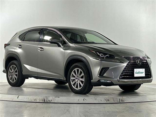 NX300 Iパッケージ