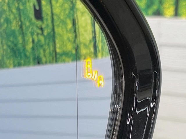 �y�u���C���h�X�|�b�g���j�^�[�z���s���A�h�A�~���[�̎��p�ɂȂ�₷���ӏ��Ɍ㑱�Ԃ��ڋ߂���ƃT�C�h�~���[�̃����Y�Ɍx����\��!�h���C�o�[�ɒ��ӊ��N�����Ă���܂��B