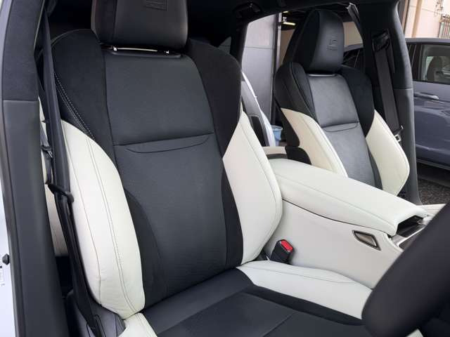 F�X�|�[�c��p�{�v/�E���g���X�G�[�h�X�|�[�c�V�[�g(�z���C�g)�E�V�[�g�x���`���[�V����(Hot&Cool)�E�������[�t���p���[�V�[�g