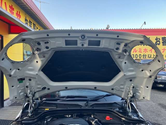 �G���W���t�[�h����������Y��ł�!!