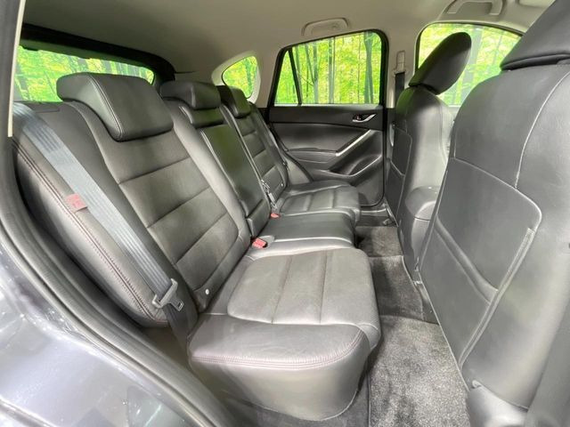 �㕔���Ȃ��C�ɂȂ�悤�ȃL�Y�E�����ւ��蓙�A�傫�ȃ_���[�W�͂Ȃ��A�ǍD�ȏ�Ԃł��B