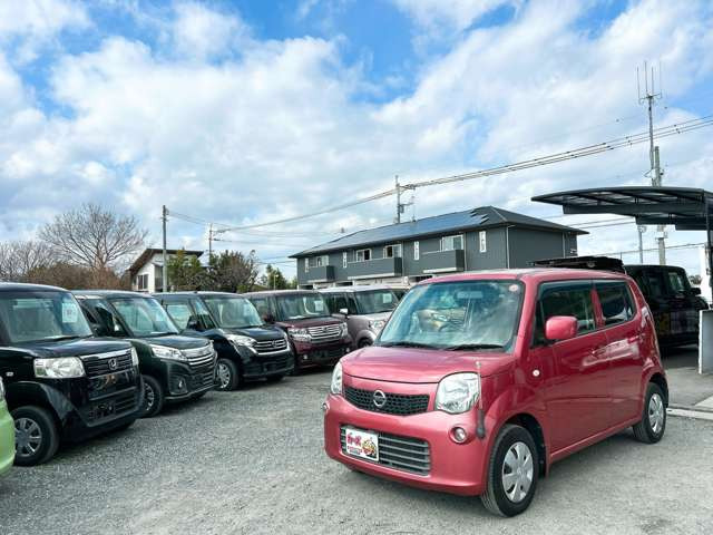 �y39.8���X�J�[�Y�̎��q���������������A���ɂ��肪�Ƃ��������܂��B���������S�s���c1186-7TEL:0942-73-6060�܂ł��⍇����������