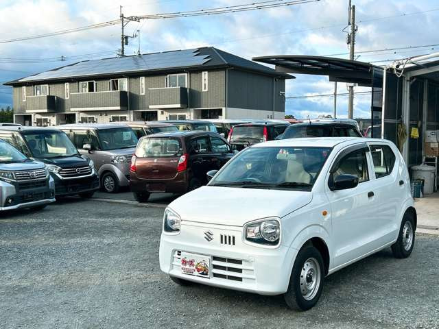 �y39.8���X�J�[�Y�̎��q���������������A���ɂ��肪�Ƃ��������܂��B���������S�s���c1186-7TEL:0942-73-6060�܂ł��⍇����������