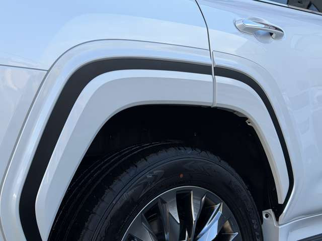 �y�I�v�V�����z���f���X�^   �t�F���_�[�K�[�j�b�V���B