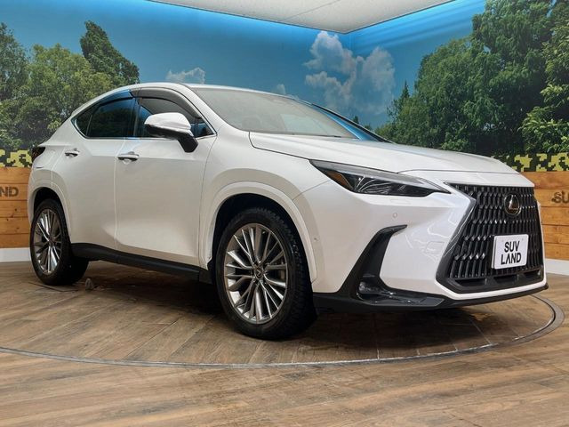 �������x�̃K���X�疌�ŝ����͂������A�㎿�ȃc���E����������B���O����_���J�����؂Ȉ��Ԃ�ی삵�A�F�����E�򉻂�h�~�B�u�e�X�v���b�V���R�[�g�v�A�u�e�v���~�b�T�R�[�g�v���炨�I�т��������܂��B