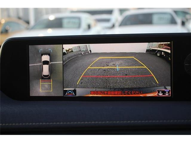 UX250h バージョンC