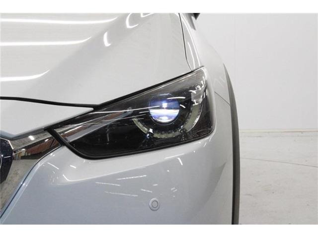 ���Ǝҗl�ւ̔̔��͂��f�肳���Ă��������܂��B �Ԍ������ԗ��̏ꍇ�́A�Ԍ����擾�������x�������z�ŕ\�����Ă���܂��B