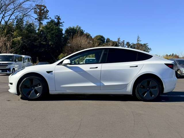 ���X�݌ɂ͊O���A�����N���[�j���O��ɓW�����A�����Ď��̏C�����̗L���A���[�^�[��������̗L������O�ҋ@�ւɂ�錟����S����{���Ă���܂��B�Ԍ��A�����A����h�������ЂőΉ��ł��܂��̂ł����S���������B