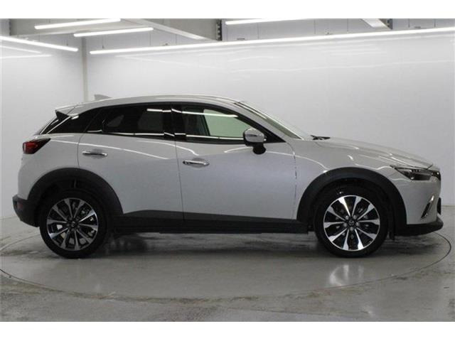 ���Ǝҗl�ւ̔̔��͂��f�肳���Ă��������܂��B �Ԍ������ԗ��̏ꍇ�́A�Ԍ����擾�������x�������z�ŕ\�����Ă���܂��B