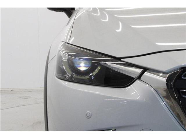 ���Ǝҗl�ւ̔̔��͂��f�肳���Ă��������܂��B �Ԍ������ԗ��̏ꍇ�́A�Ԍ����擾�������x�������z�ŕ\�����Ă���܂��B