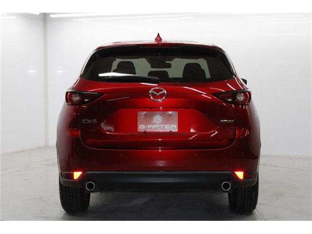 ���Ǝҗl�ւ̔̔��͂��f�肳���Ă��������܂��B �Ԍ������ԗ��̏ꍇ�́A�Ԍ����擾�������x�������z�ŕ\�����Ă���܂��B