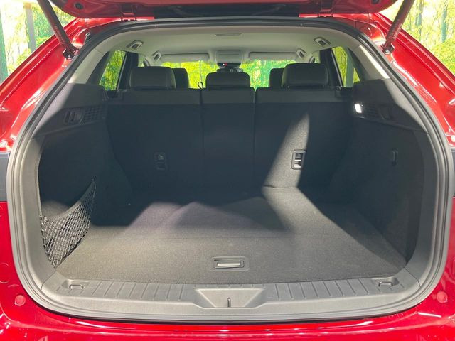 ���N���[���ȏ�Ԃ��L�[�v���������q�l�ɂ́w�i�m�]�[���R�[�g�x����������!�R���i�E�C���X�΍��A���ہE���L�Ɍ��ʂ𔭊��������̕��ɂ��D�]���������Ă���܂��B