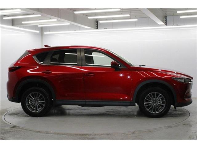 ���Ǝҗl�ւ̔̔��͂��f�肳���Ă��������܂��B �Ԍ������ԗ��̏ꍇ�́A�Ԍ����擾�������x�������z�ŕ\�����Ă���܂��B