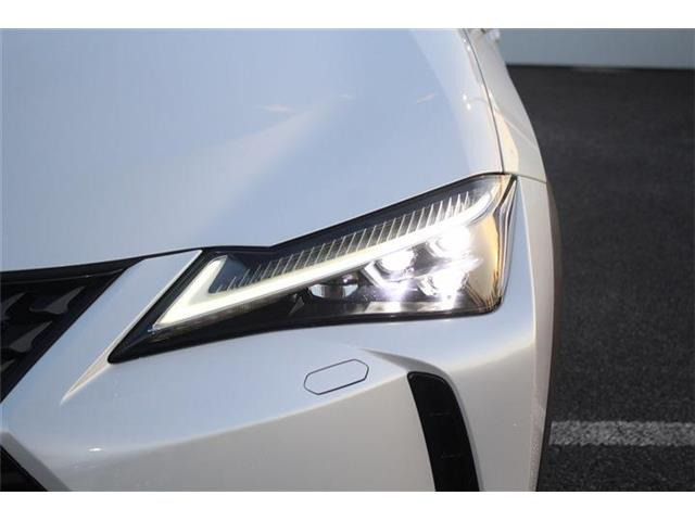 ���Ǝҗl�ւ̔̔��͂��f�肳���Ă��������܂��B �Ԍ������ԗ��̏ꍇ�́A�Ԍ����擾�������x�������z�ŕ\�����Ă���܂��B