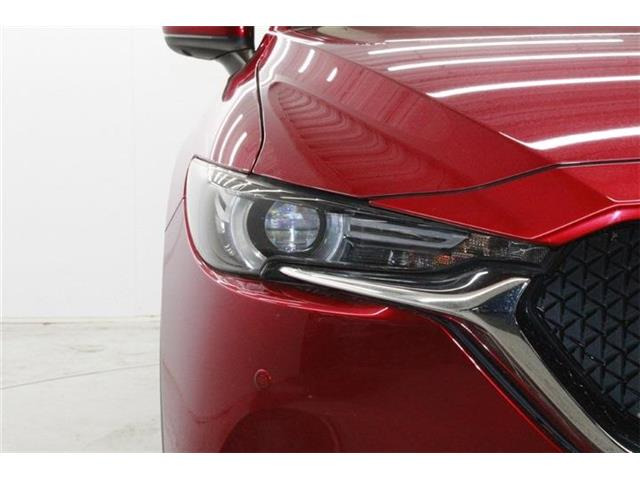 ���Ǝҗl�ւ̔̔��͂��f�肳���Ă��������܂��B �Ԍ������ԗ��̏ꍇ�́A�Ԍ����擾�������x�������z�ŕ\�����Ă���܂��B